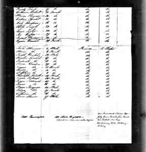 New Orleans Passenger List - Regina Wundel (Lorenz Marxer's wife) arrives June 2, 1845